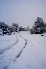Blizzard03_0252