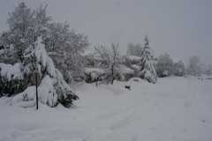 Blizzard03_028