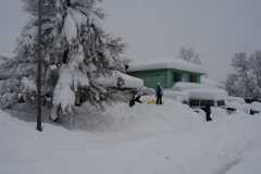 Blizzard03_036
