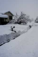 Blizzard03_038