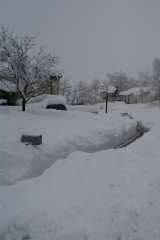 Blizzard03_043