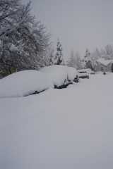 Blizzard03_055