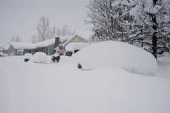 Blizzard03_059