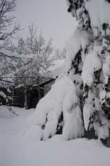 Blizzard03_060