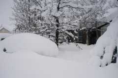 Blizzard03_061