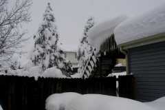Blizzard03_074