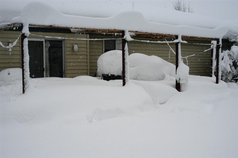 Snow5977