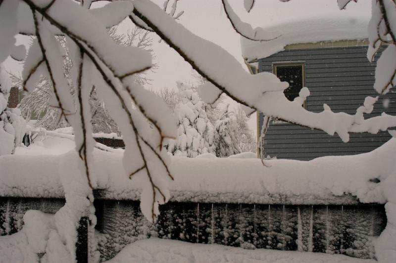 Snow_5998
