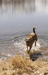 Sam_5831