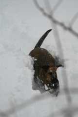 Sam_5985