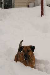 Sam_6005