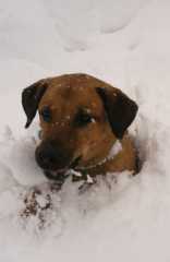 Sam_6007