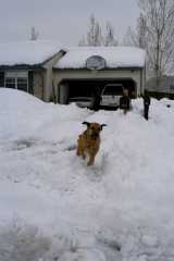 Sam_6154