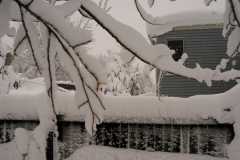 Snow_5998