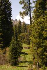 06RabbitEars8778