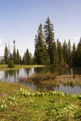 07Pond8892