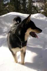 09Sika2336