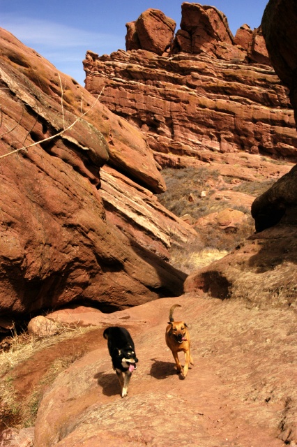 RedRocks2534