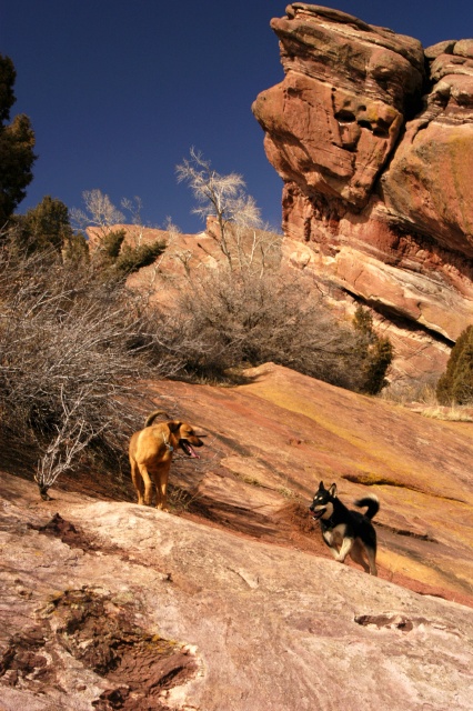 RedRocks2546
