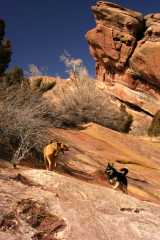 RedRocks2546