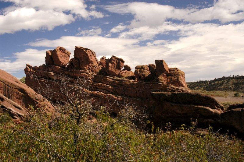 RR2004_4878