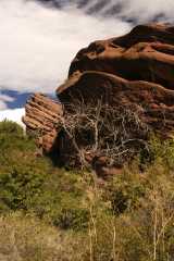 RR2004_4912