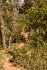 RR2004_4923