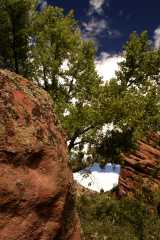 RR2004_4934