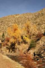ClearCreek0198