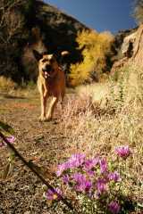 ClearCreek0233