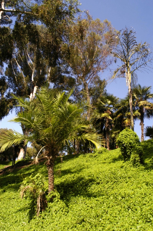 DSC_5717