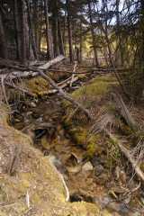 2004JuneCamping3415
