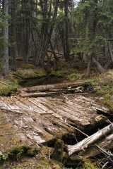 2004JuneCamping3563