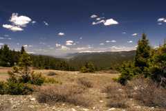 2004JuneCamping3614