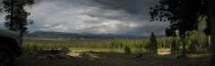 MichiganHill@1x7
