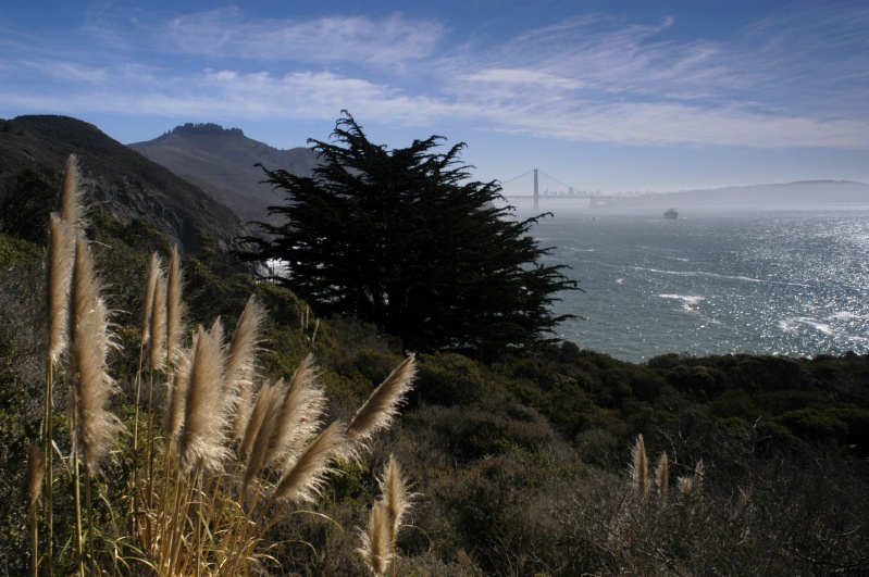 SanFrancisco6012