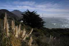 SanFrancisco6012