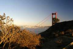 SanFrancisco6242
