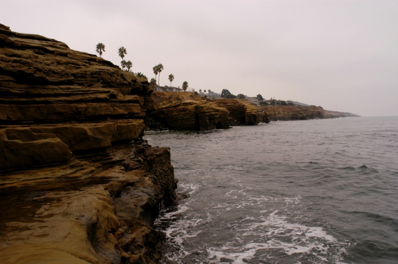 DSC_5602