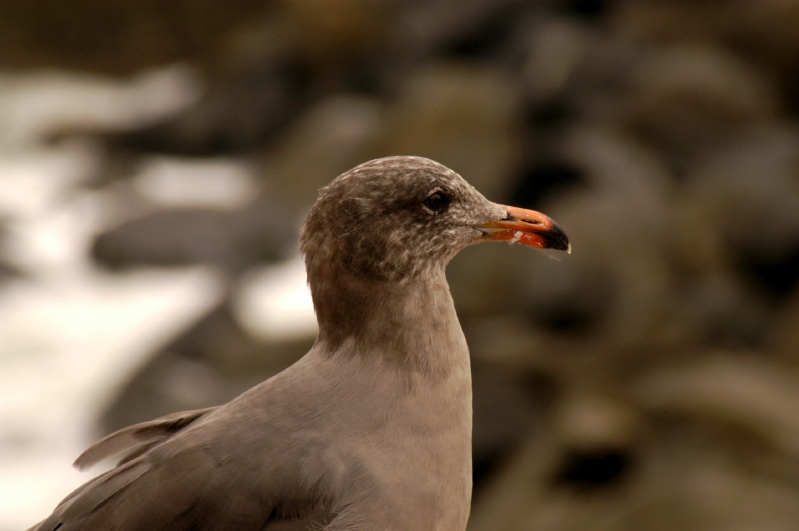 DSC_5680