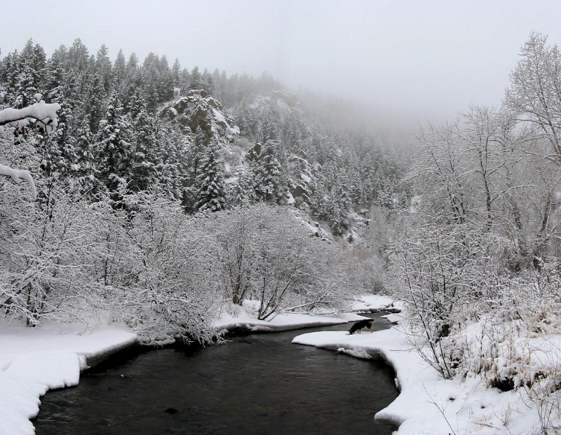BearCreekPano2b