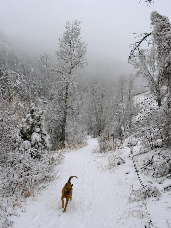 BearCreekSam0283