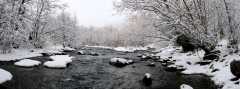 BearCreekPano1