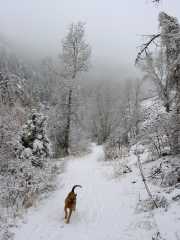 BearCreekSam0283