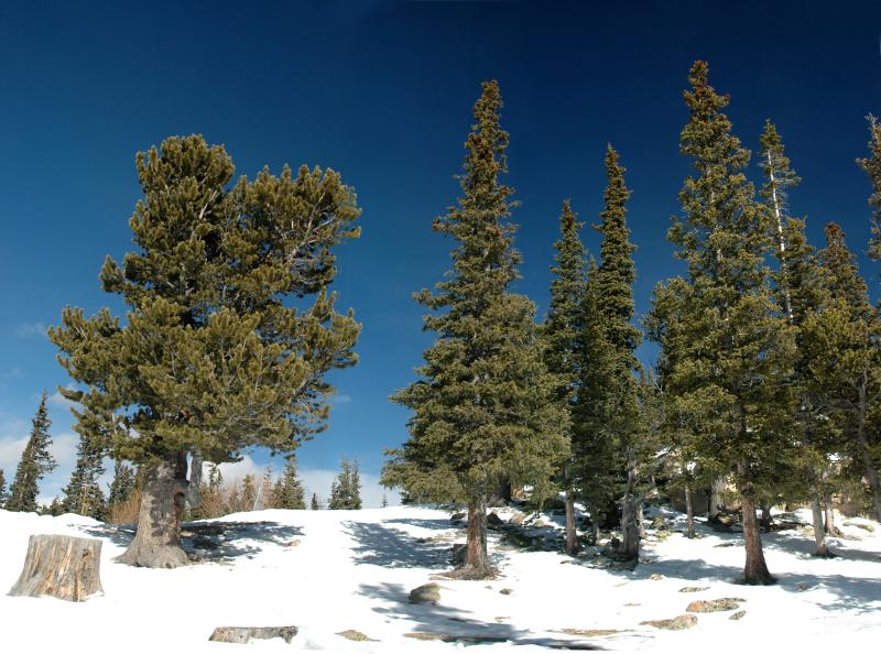 pano90-92b
