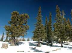 pano90-92b