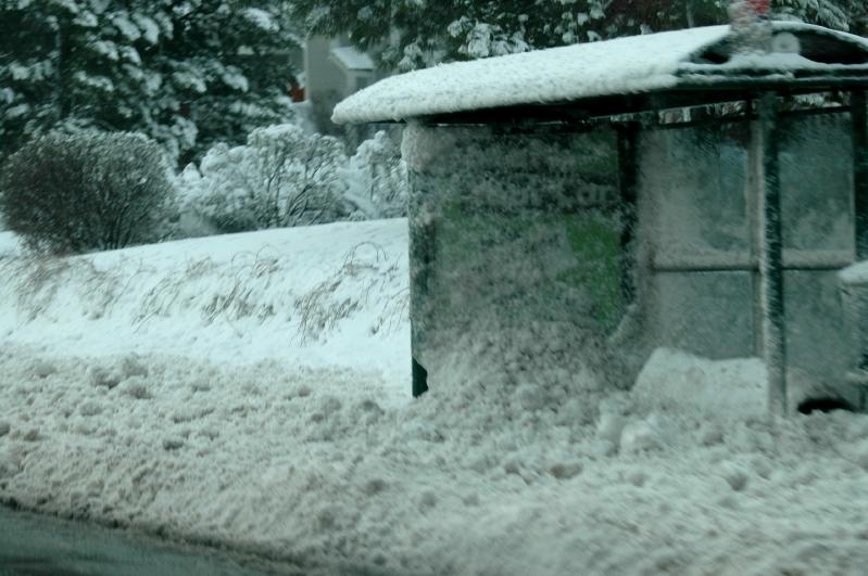 20050410Snow3494