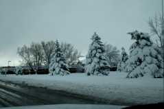 20050410Snow3483