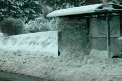 20050410Snow3494