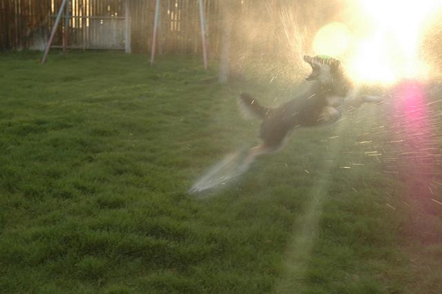 SprinklerFight4000